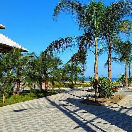 Uw Oasis Hotel La Ceiba Exterior photo